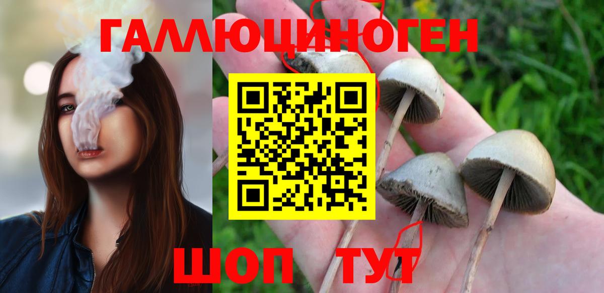 Галлюциногенные грибы мицелий  Вход с VPN  Сальск  Галлюциногенные грибы ЛСД 